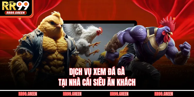 Dịch vụ xem đá gà tại nhà cái siêu ăn khách